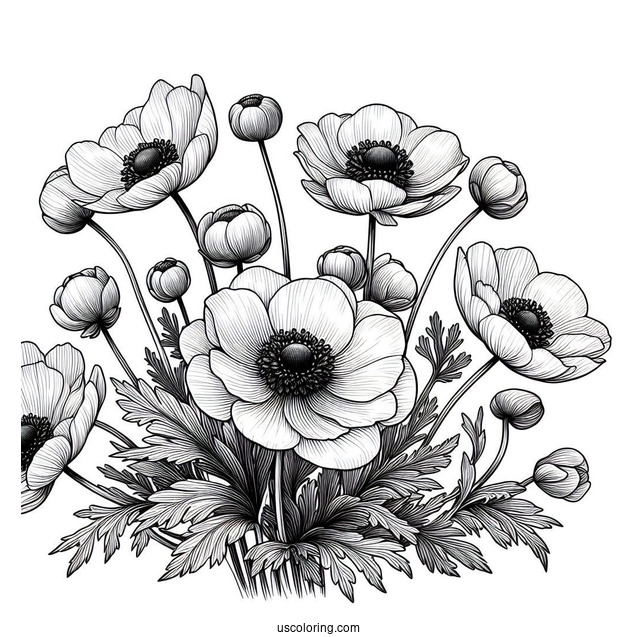 Flower Coloring Pages Of Realistic Anemone For Adults