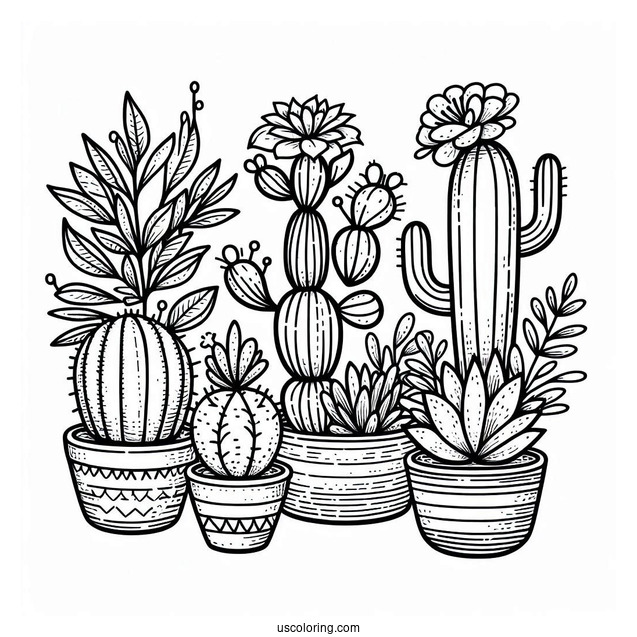 Cactus And Succulent Art Coloring Sheet