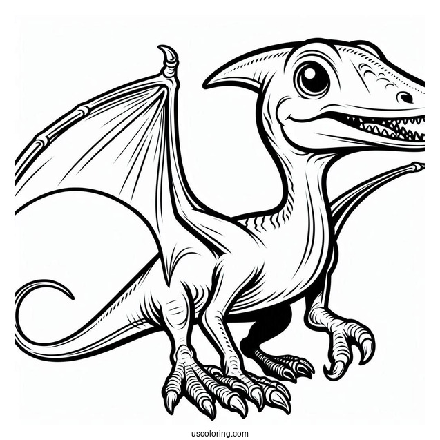 Pterodactyl Coloring Page With Sharp Beak