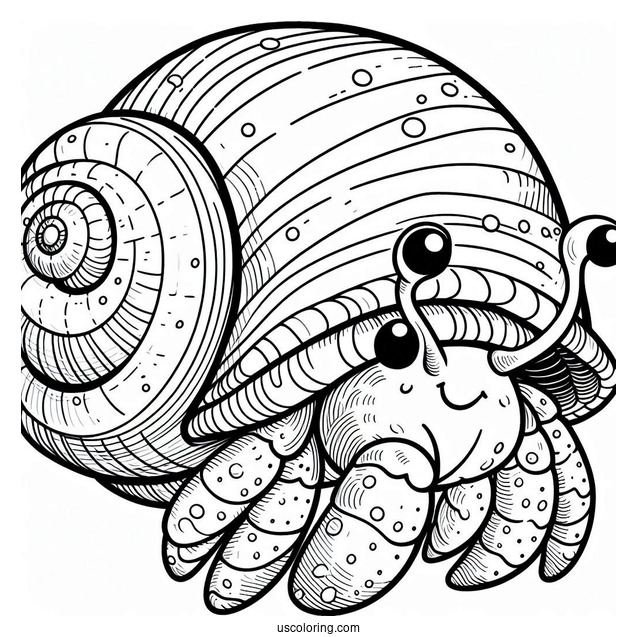 Cartoon Hermit Crab Coloring Page With Spiral Shell