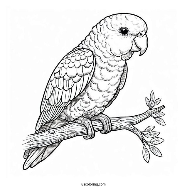 Detailed Parrot Sitting On a Branch