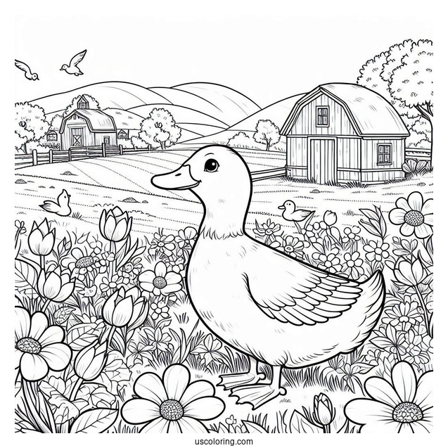 Farm Ducks Walking Through Flower Field