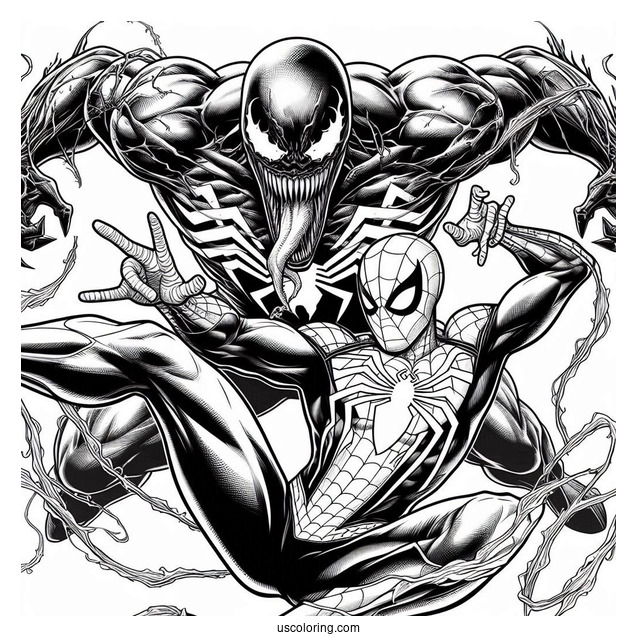 Detailed Spider-Man Vs Venom Marvel