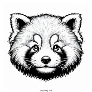 Realistic Red Panda Face Coloring Page