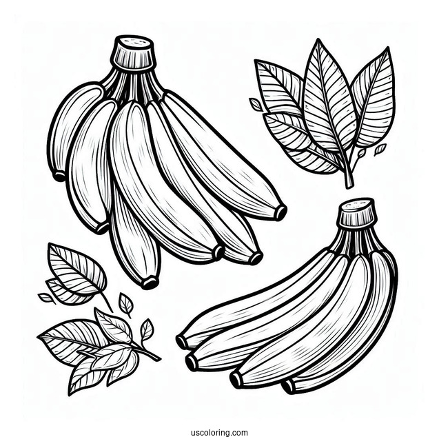 Banana With Leaves Coloring Sheet