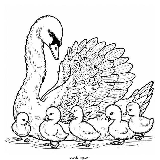 Mama Swan Coloring Page With Baby Cygnets