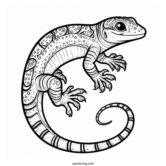 Draco Flyzard Lizard Coloring Page