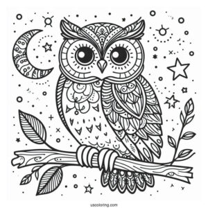 Simple Outline Of Owl To Color