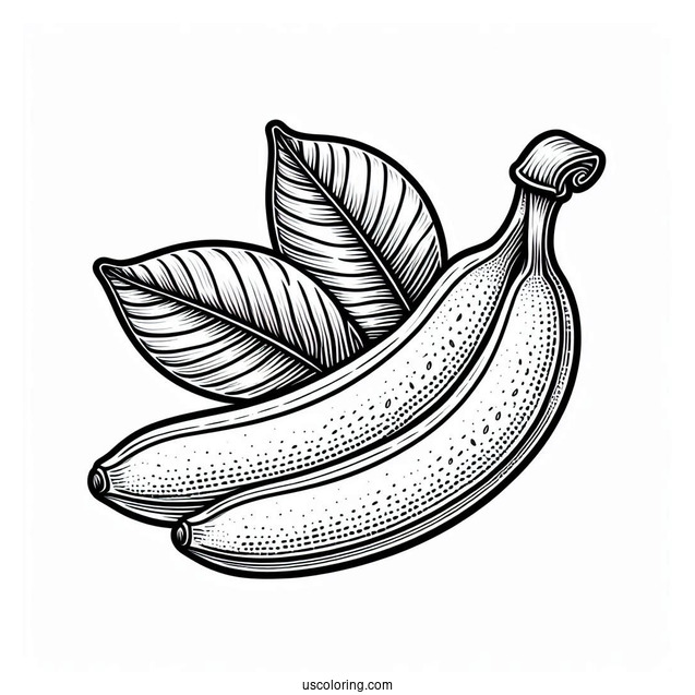 Banana With Leaves Coloring Sheet