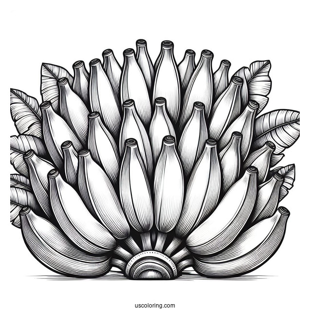 Multiple Bunches Of Bananas Coloring Pages