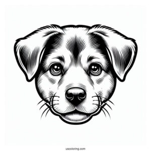 Close Up Of Dog Face Coloring Sheet