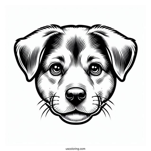 Close Up Of Dog Face Coloring Sheet