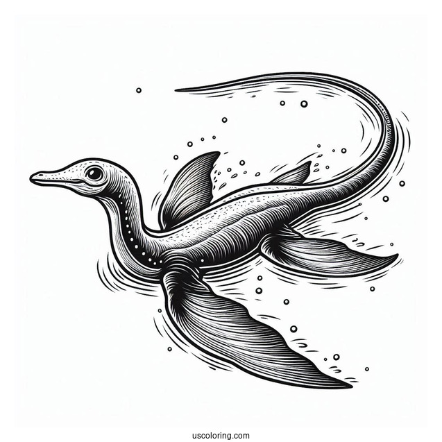 Plesiosaur Vertebra Dinosaur Swimming Coloring Sheet