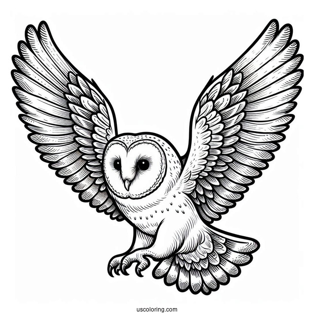 Barn Owl Flying With Large Wings