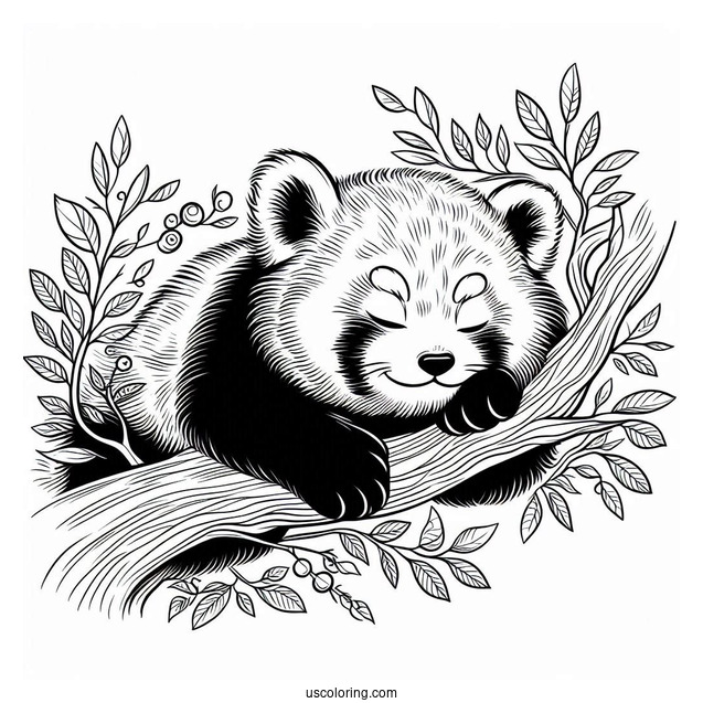 Red Panda Sleeping In Tree