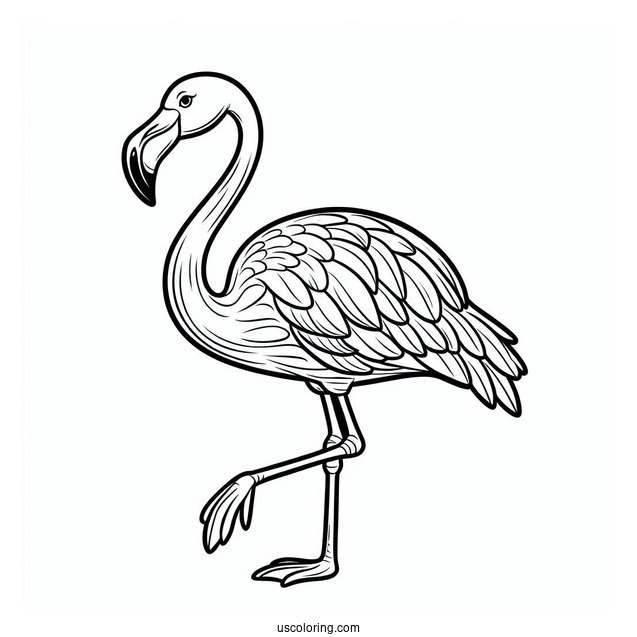 Easy Cartoon Flamingo To Color For Kids