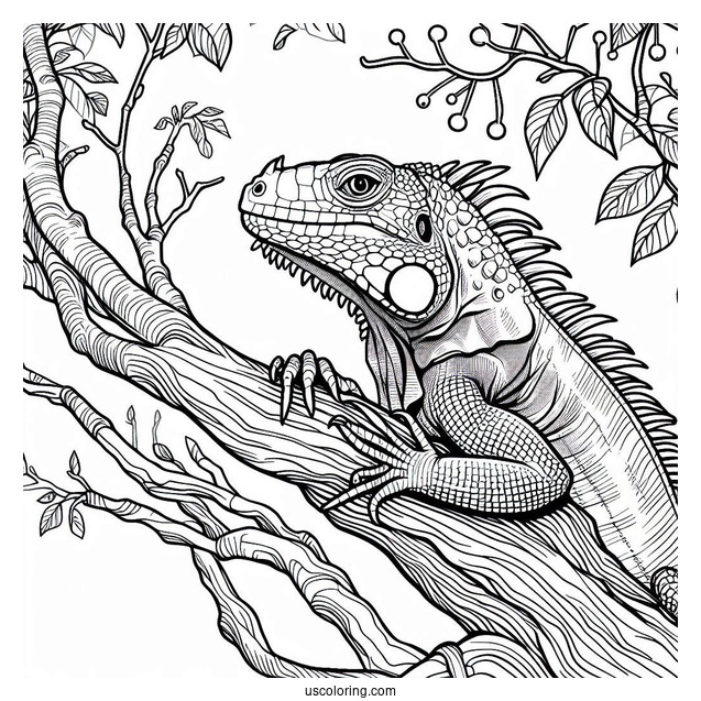 Lizard Coloring Page of Iguana With Head Up On Tree Branch