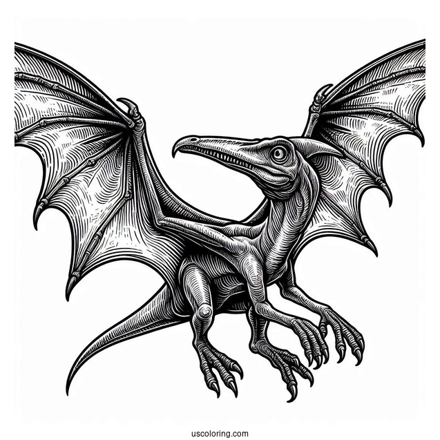 Scary Pterodactyl Coloring Page With Detailed Skin