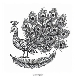 Peacock Bird Feather Coloring In