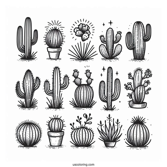 Various Cactus In Arizona Dessert To Color