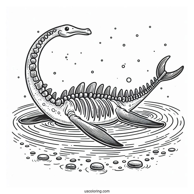 Plesiosaur Vertebra Dinosaur Swimming Coloring Sheet