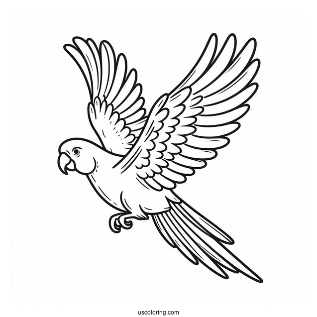Simple Outline Of a Parrot Flying