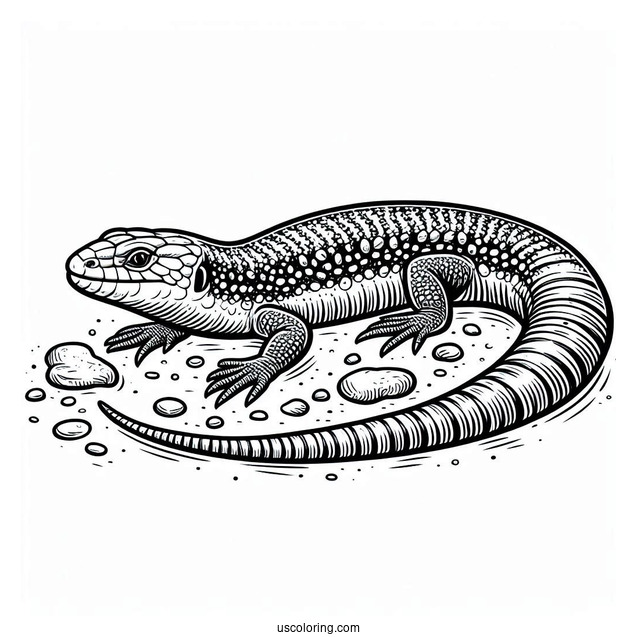 Lizard Coloring Page of Scaly Blue Tongued Skink On Ground