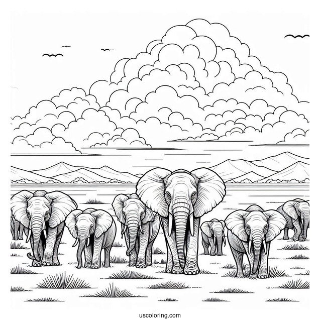 Herd Of Elephants On The Plains Coloring