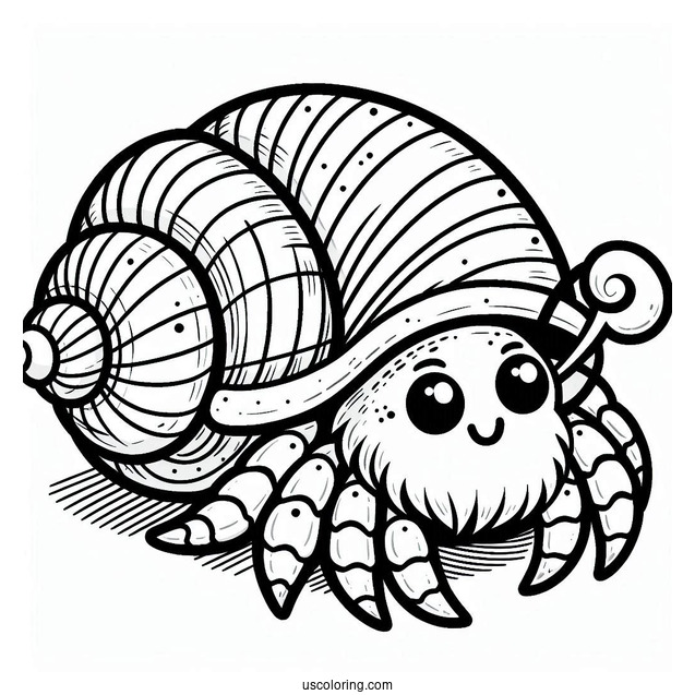 Cartoon Hermit Crab Coloring Page With Spiral Shell