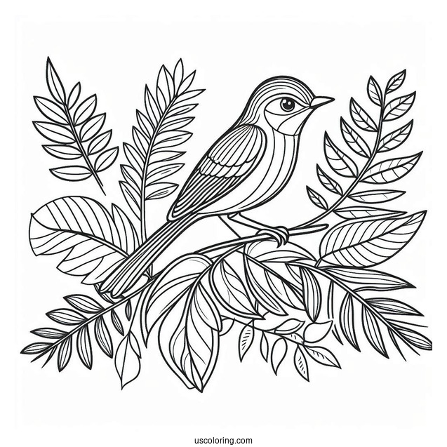 Easy Outline Of Bird Perched On Leaf In Jungle Coloring Page