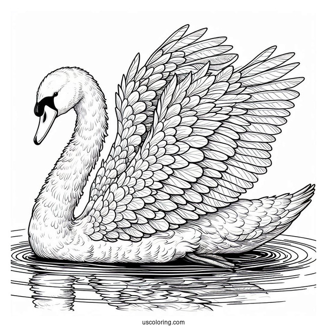 Large Regal Swan Coloring Page With Detailed Feathers