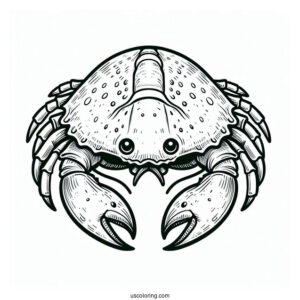 Horseshoe Crab Coloring Page