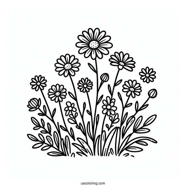 Flower Coloring Pages Of Field Of Daisies For Preschoolers