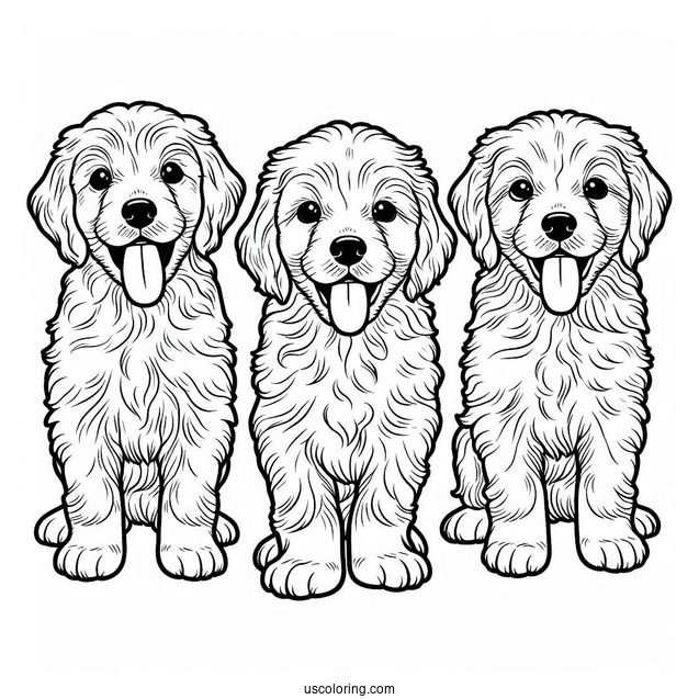 Labradoodle Puppy With Tongue Out Coloring Sheet