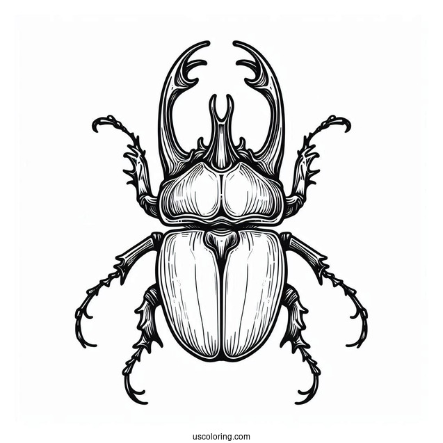 Eastern Hercules Beetle Coloring Page