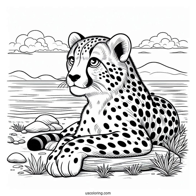 Cheetah Coloring Page Resting By The Sea