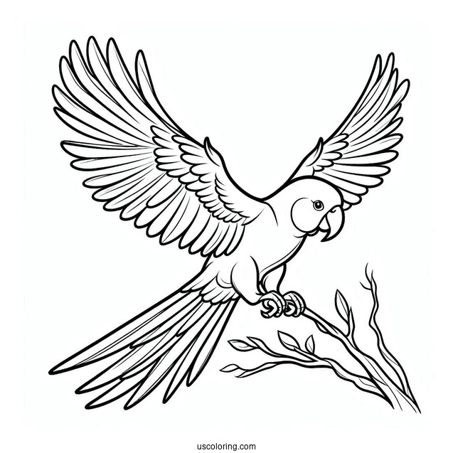 Simple Outline Of a Parrot Flying