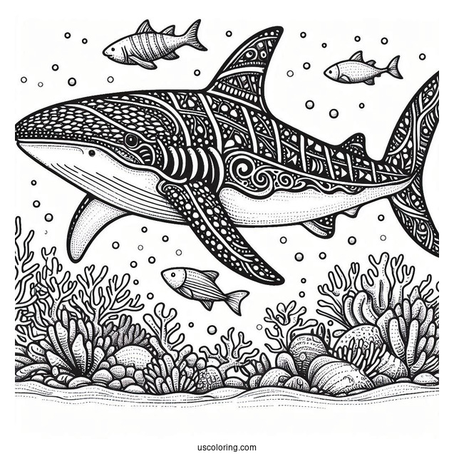 Detailed Whale Shark Coloring Page