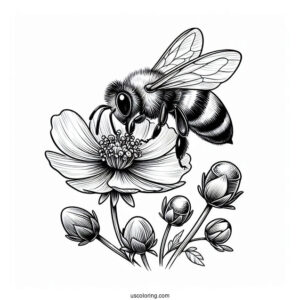 Realistic Bee Coloring Page Sucking Flower Nectar
