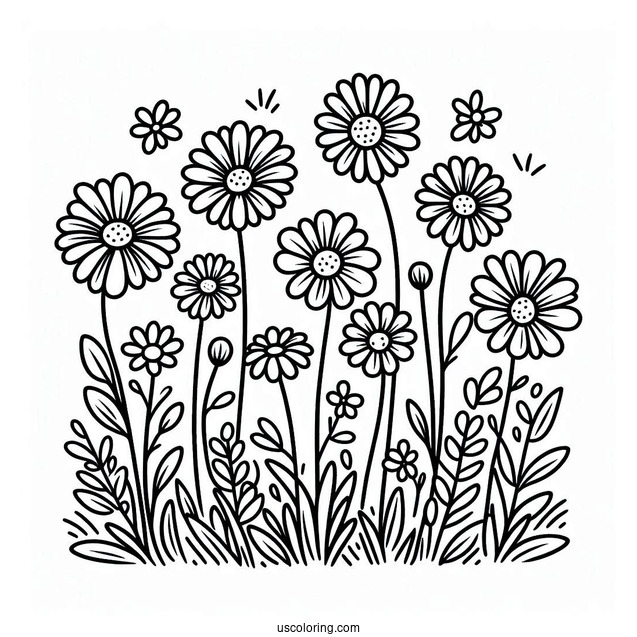 Flower Coloring Pages Of Field Of Daisies For Preschoolers
