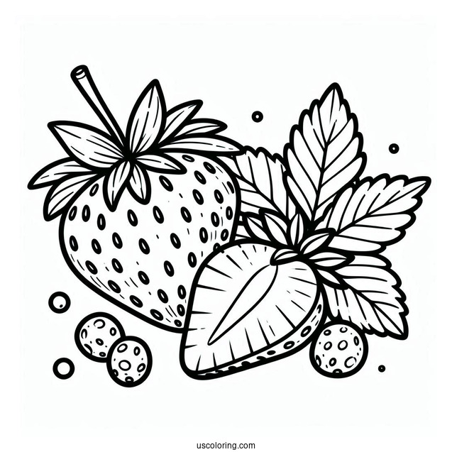 Strawberry Coloring Page Fruit Flashcard For Kids
