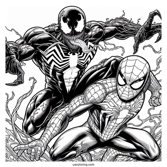 Detailed Spider-Man Vs Venom Marvel