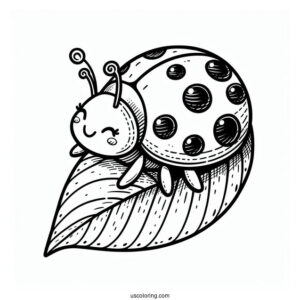 Ladybug Beetle Coloring Page On A Leaf For Kids