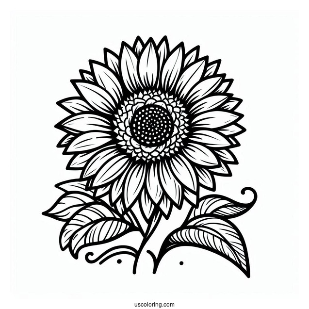 Outline Of Sunflower Coloring Sheet