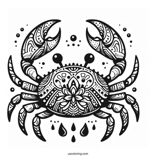 Sally Lightfoot Crab Coloring Page