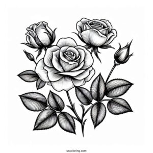 Flower Coloring Pages Of Realistic Rose