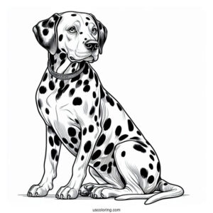 Large Dalmatian Dog Coloring Sheet