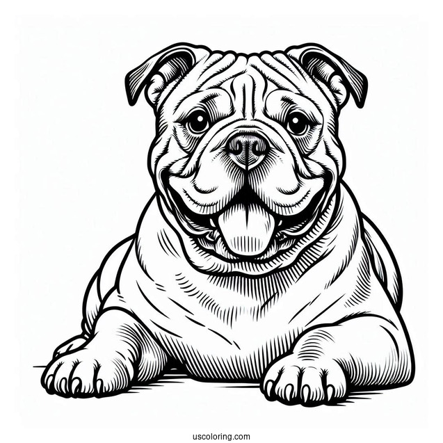 Coloring Page Of American Bulldog