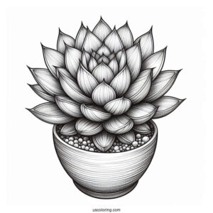 Realistic Succulent Coloring Page With Cactus