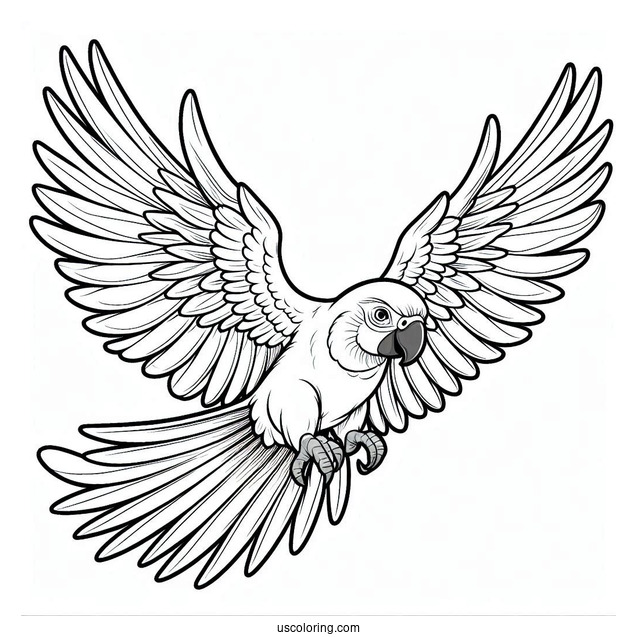 Parrot Flying With Large Wings